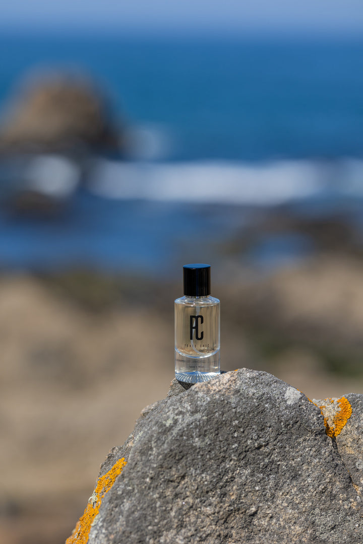 PERFUME DE HOMEM PONTO CHIC