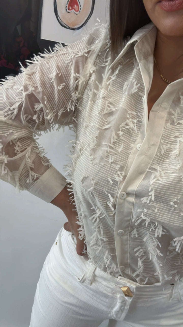 CAMISA BEGE PLUMETIS PONTO CHIC